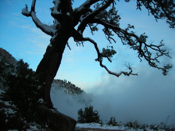 AVALON - restaurante en Gualba - Logo del restaurante