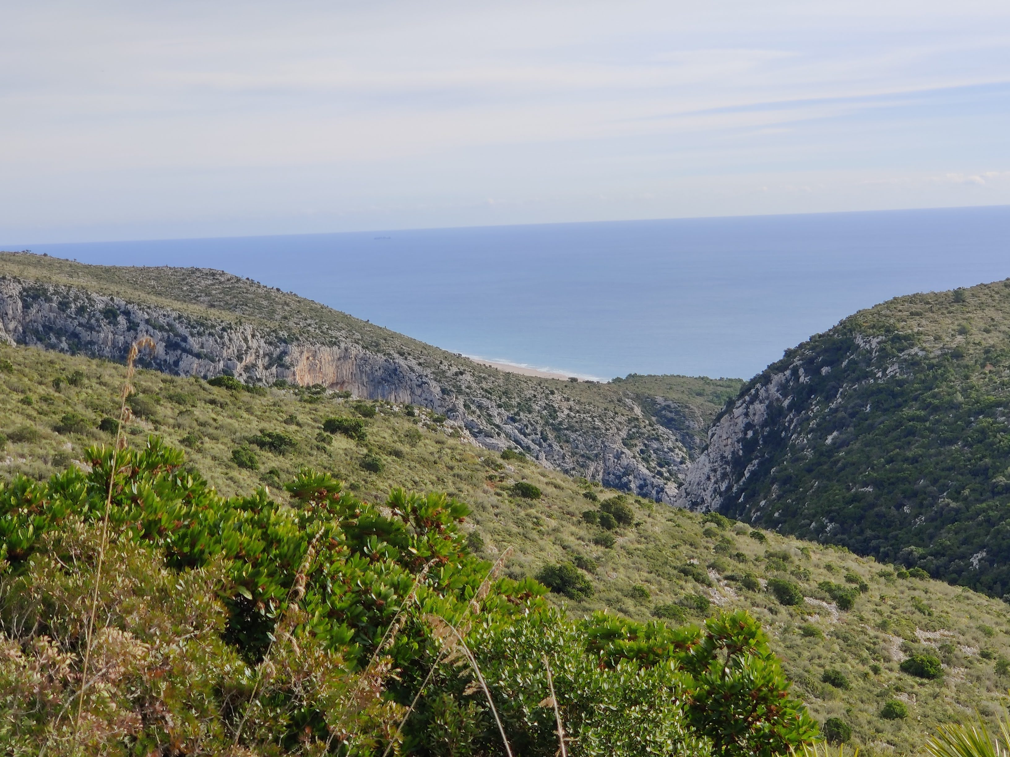 Test - restaurante en Ttt - Logo del restaurante