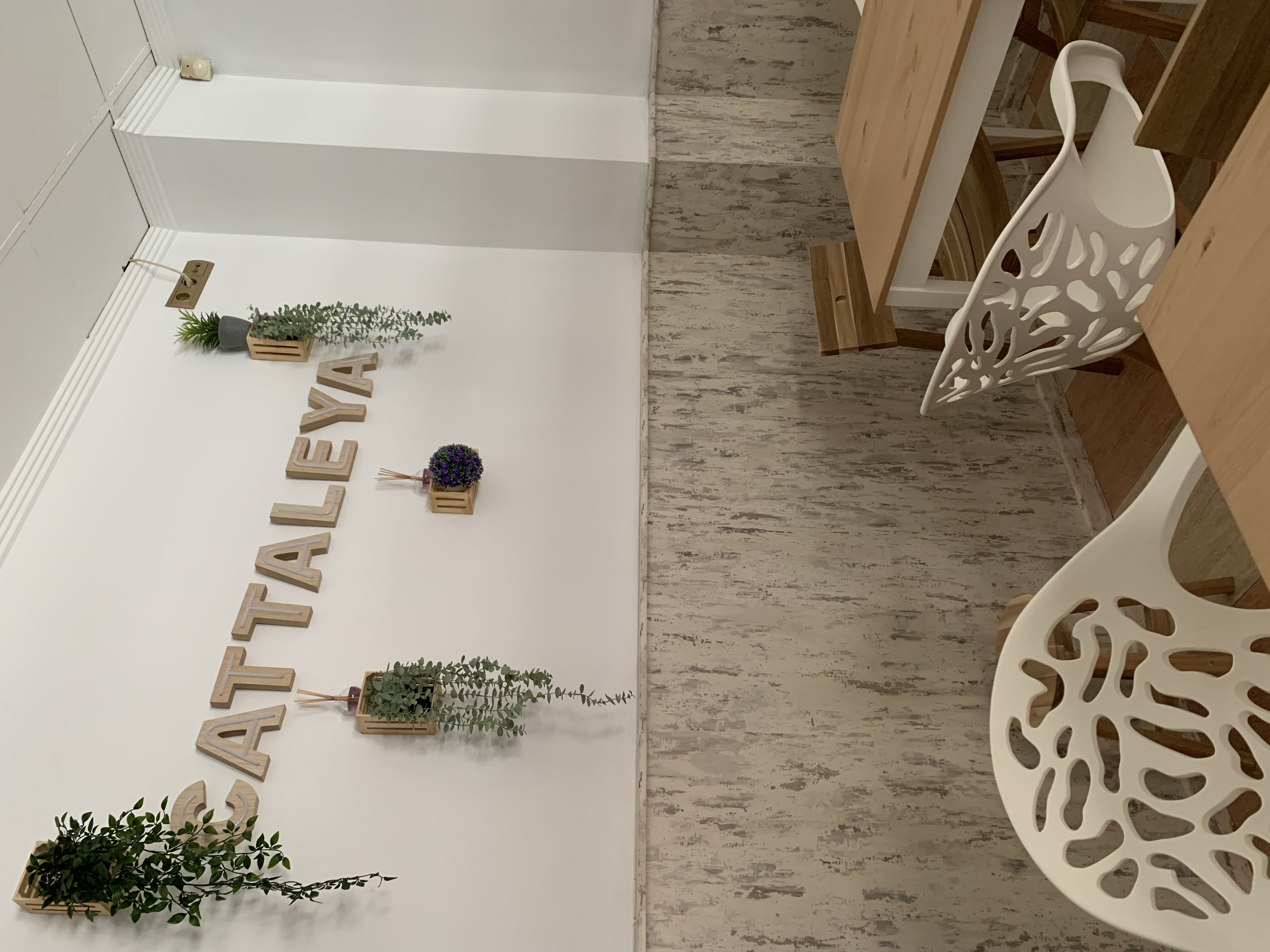 Bar Cattaleya  - restaurante en Valencia/picassent - Logo del restaurante