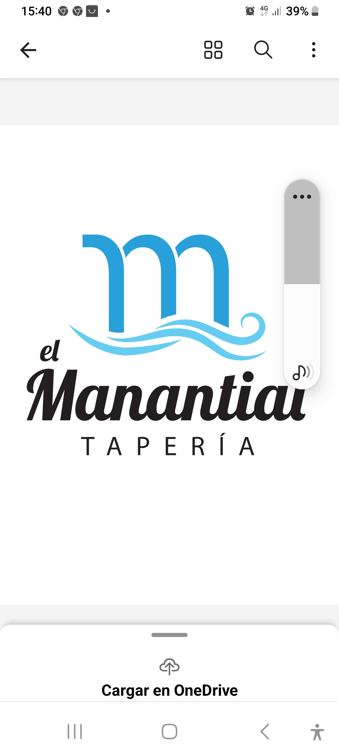 El manantial - otros en Albacete - Logo del restaurante
