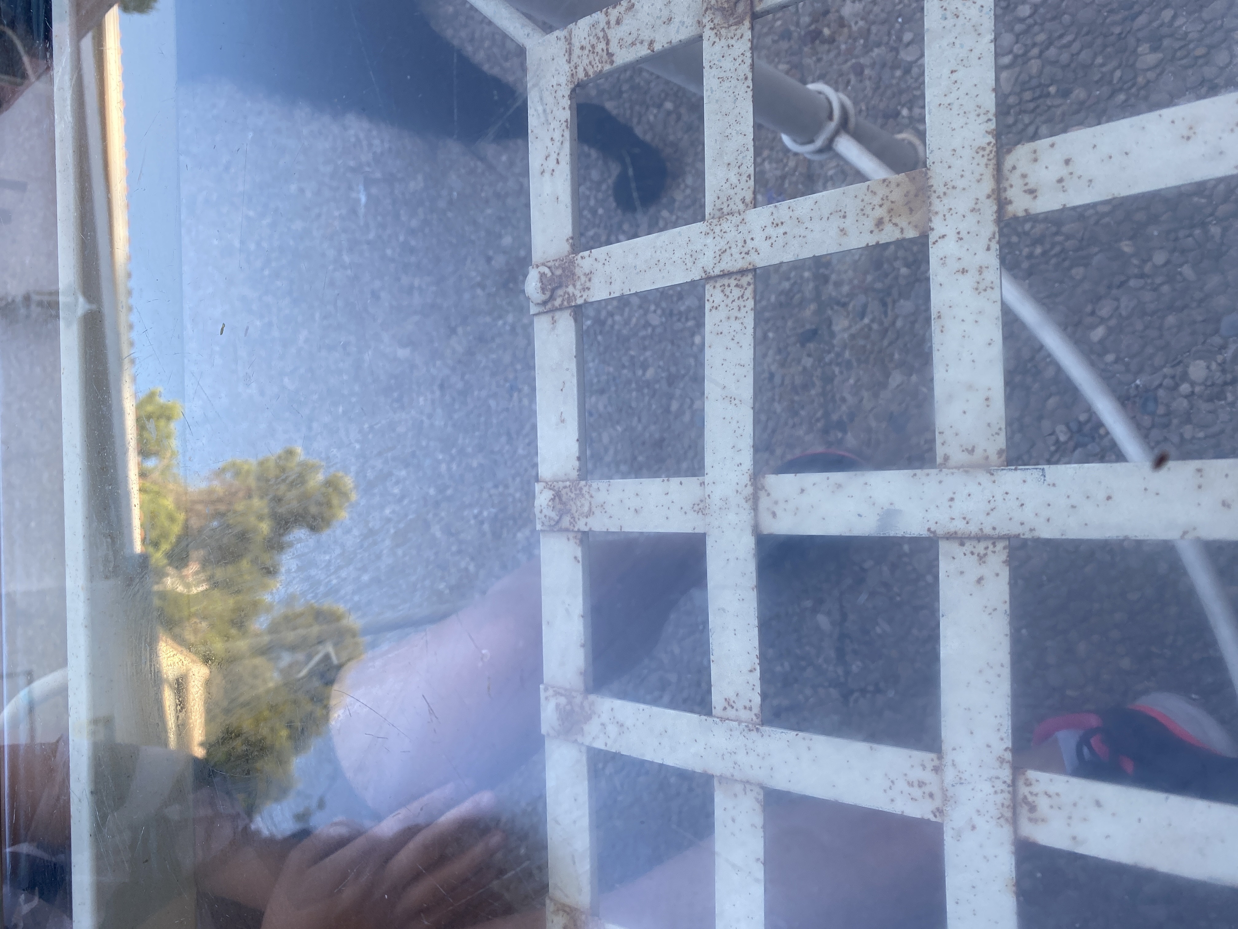 Los pajaritos - restaurante en Valencia - Logo del restaurante