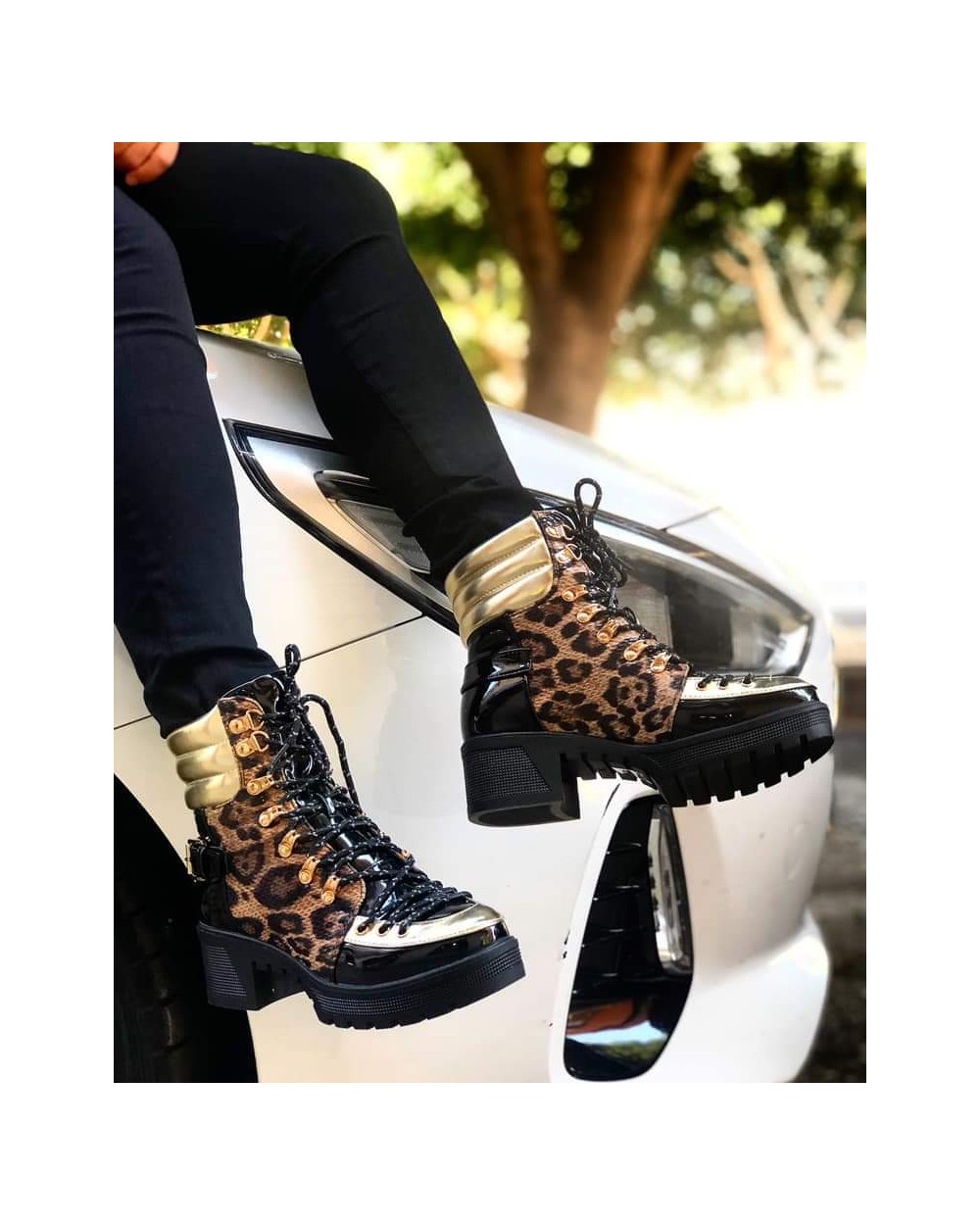 Cafetería Delfines  - restaurante en Almería - Logo del restaurante