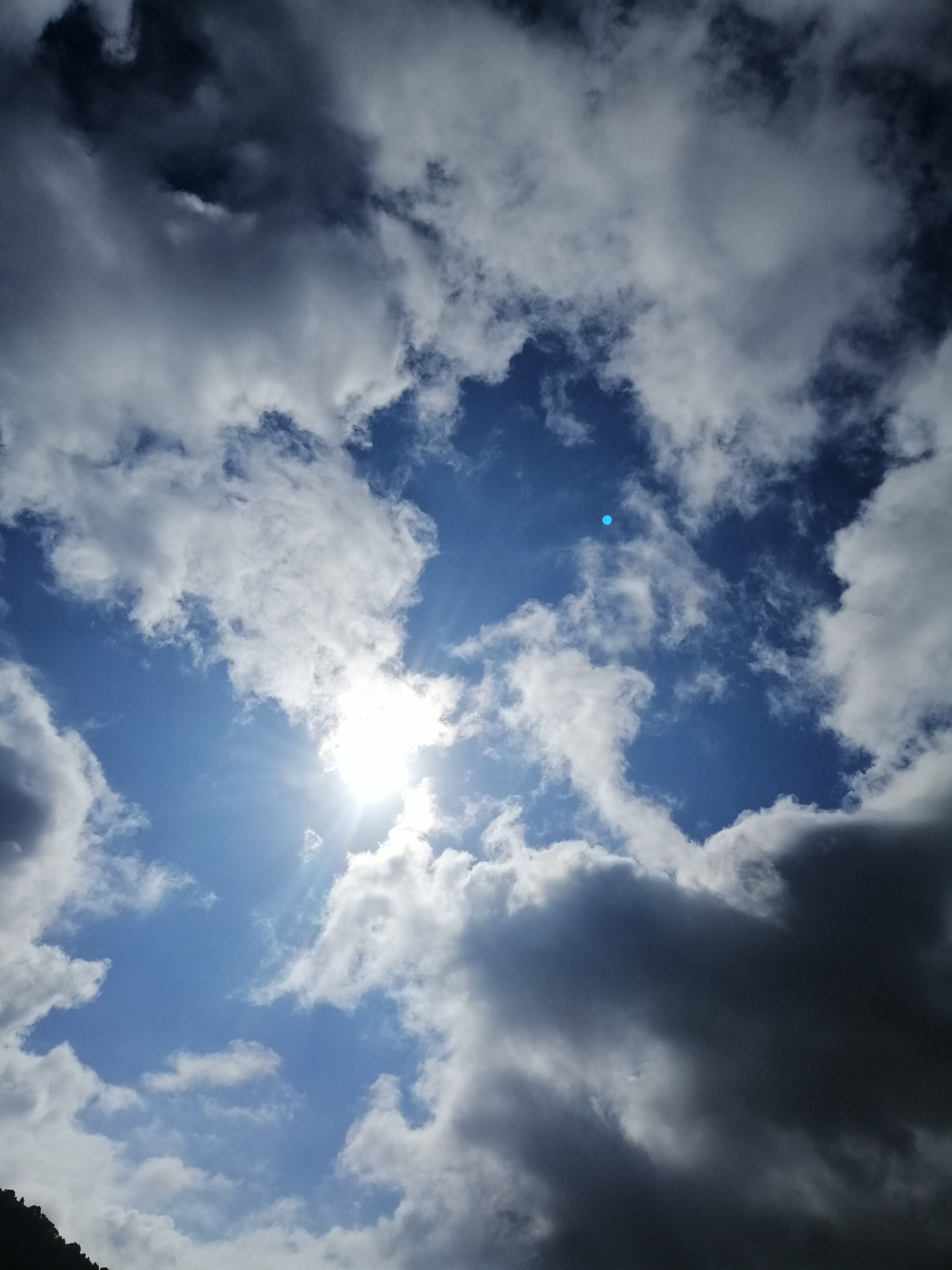 CAFE ES PUNT - restaurante en deia - Logo del restaurante