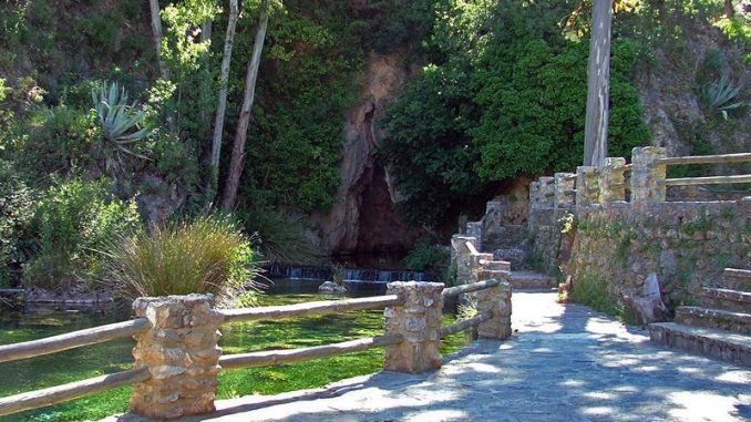 Bar Restaurante El Nacimiento - restaurante en Igualeja (Málaga) - Logo del restaurante