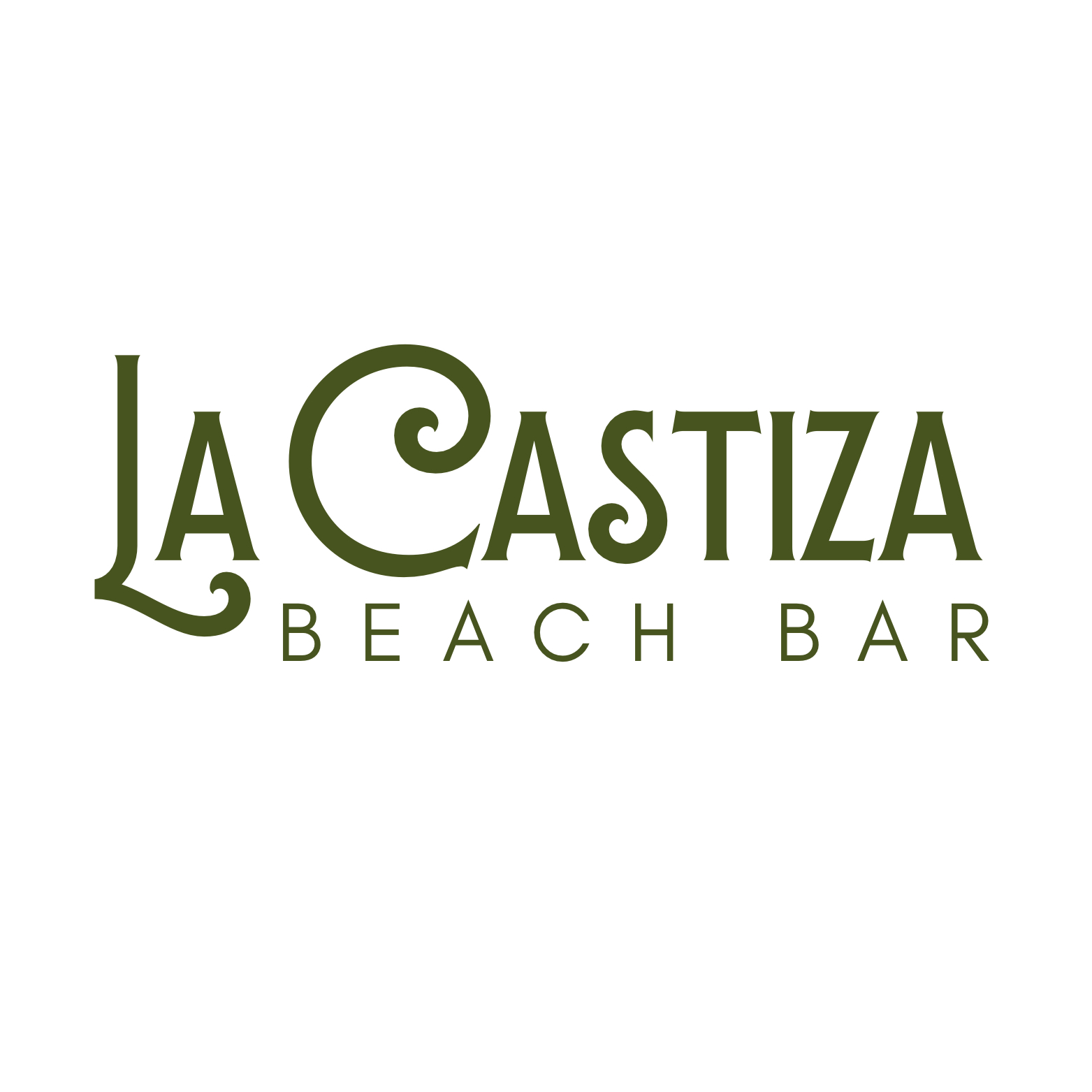 LA CASTIZA BEACH BAR - restaurante en La Mata - Logo del restaurante