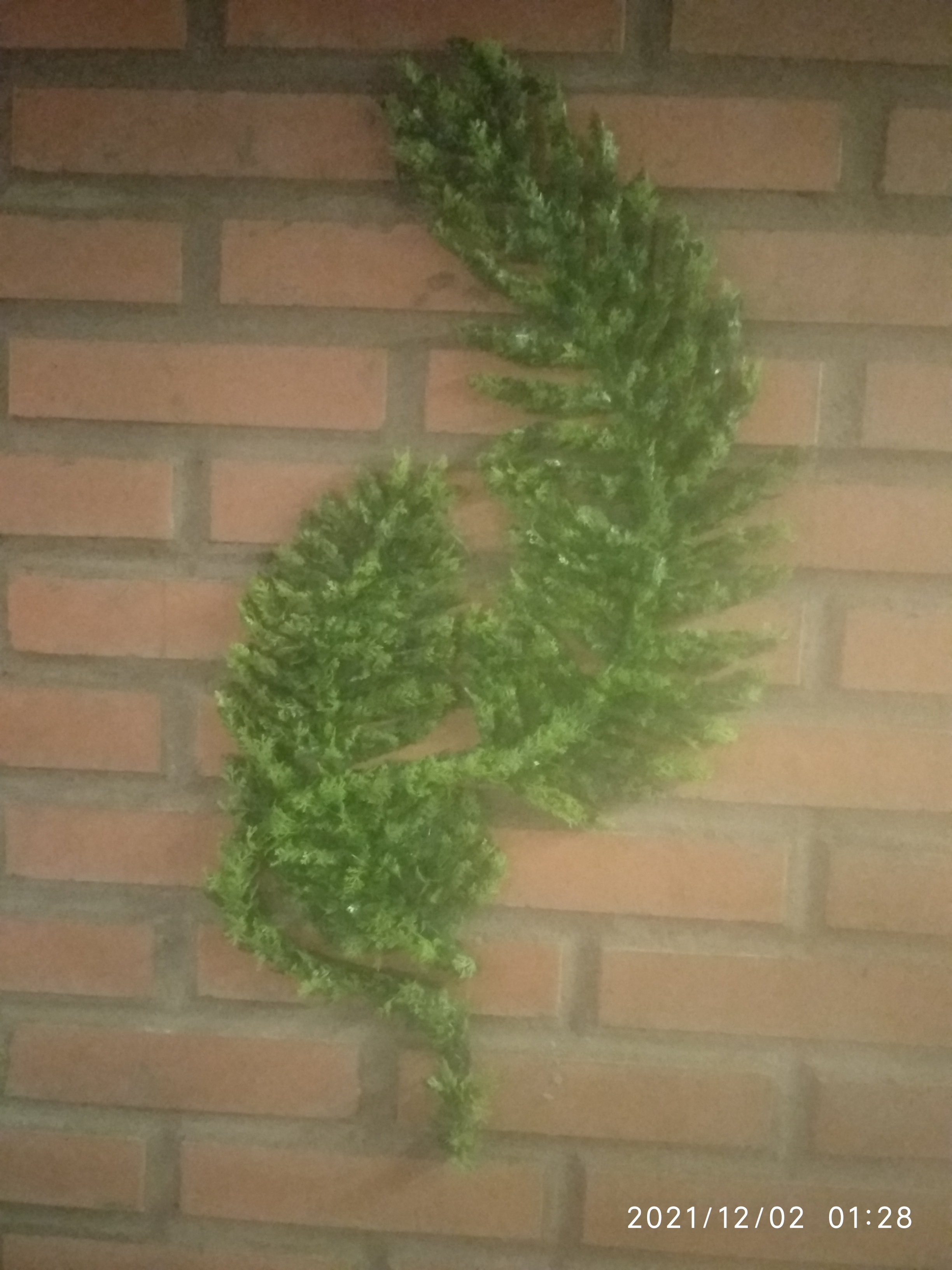 Ohana restaurante - restaurante en Lechería - Logo del restaurante