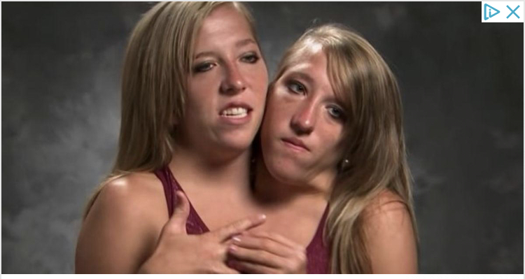 alicuetara  - restaurante en madrid  - Logo del restaurante