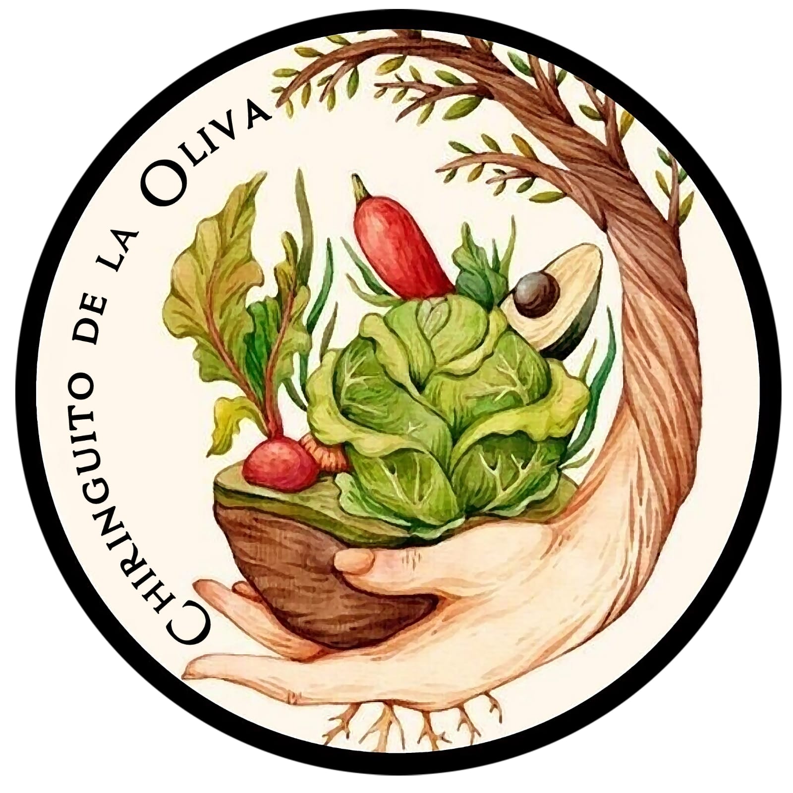 Chiringuito de la Oliva - restaurante en Vejer de la Frontera - Logo del restaurante