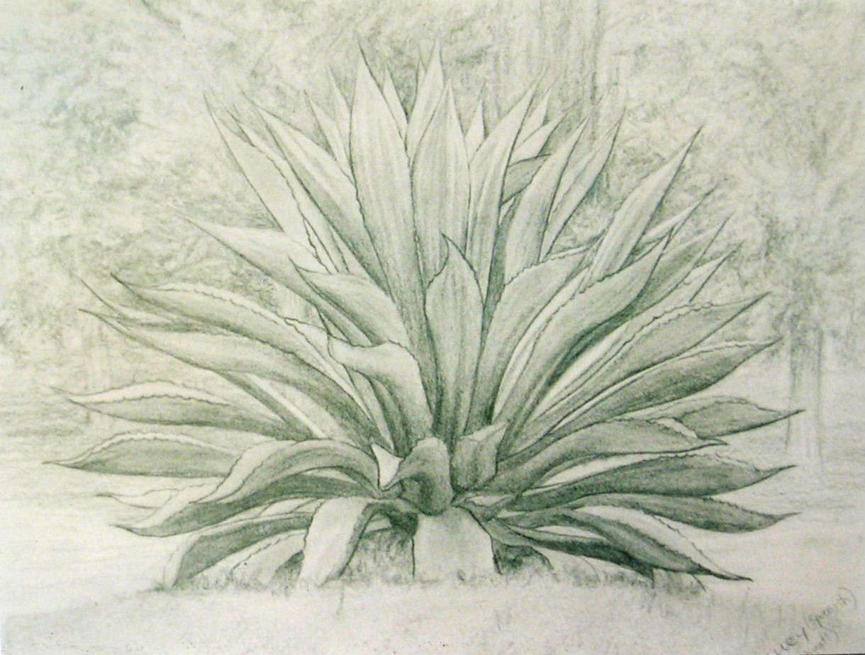 El Guarache - restaurante en Coyoacán, CDMX - Logo del restaurante