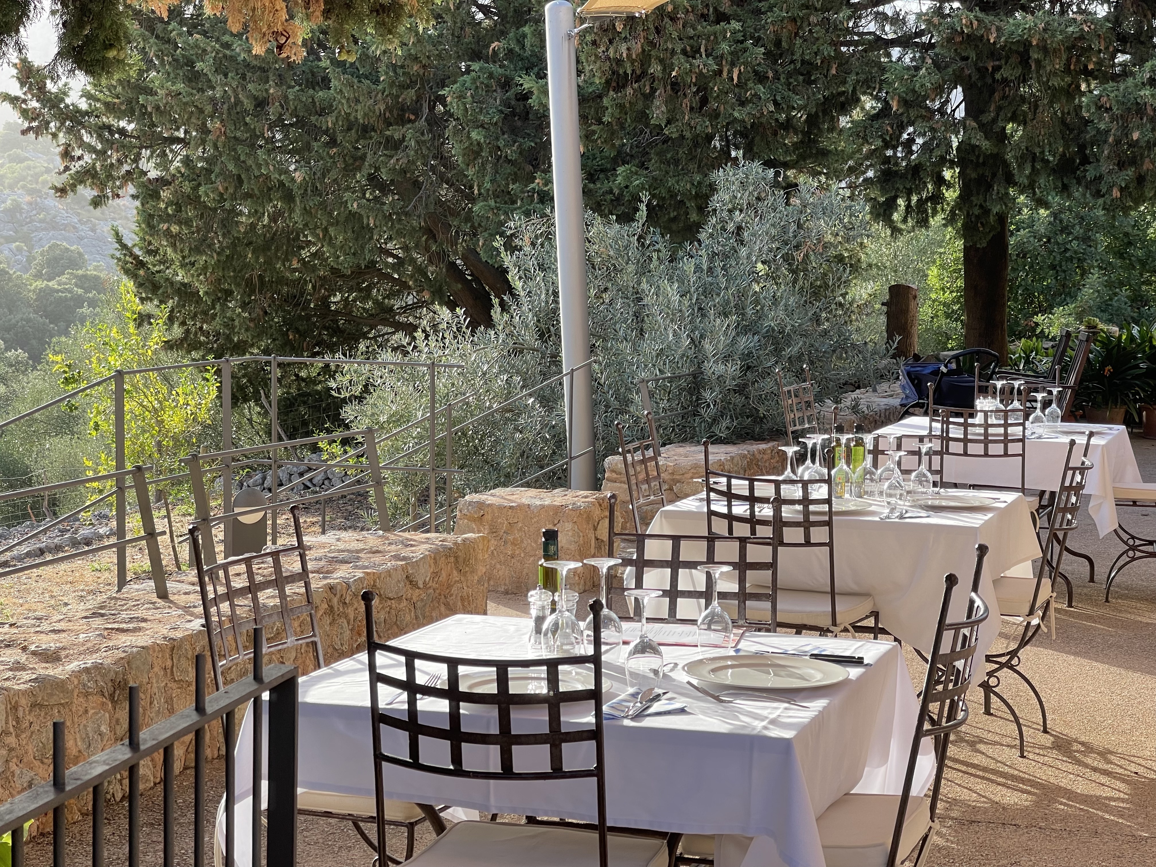 Agroturismo Son Alzines - bed_breakfast en Escorca - Logo del restaurante