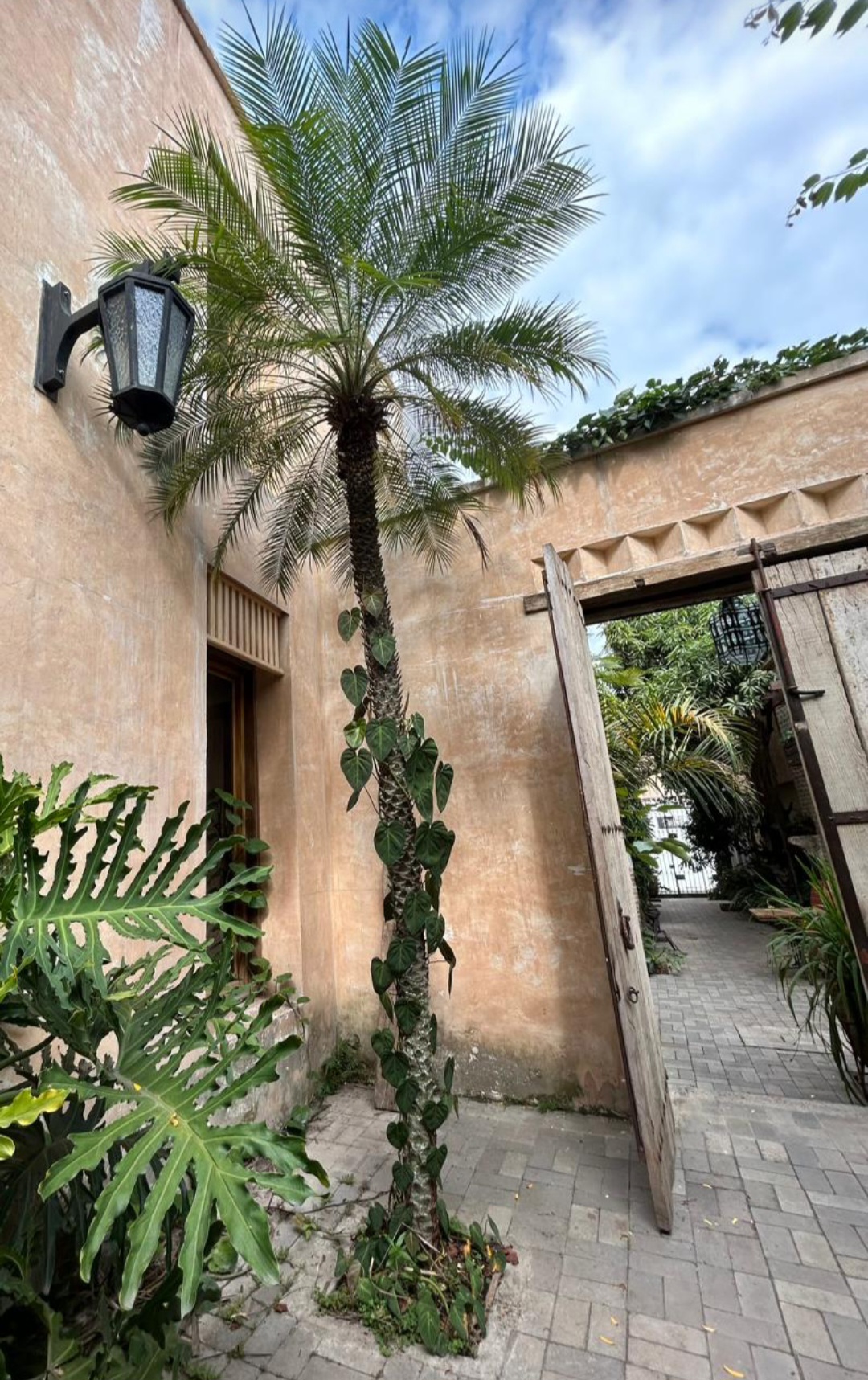 GENTE COMÚN - restaurante en CALI - VALLE DEL CAUCA - Logo del restaurante