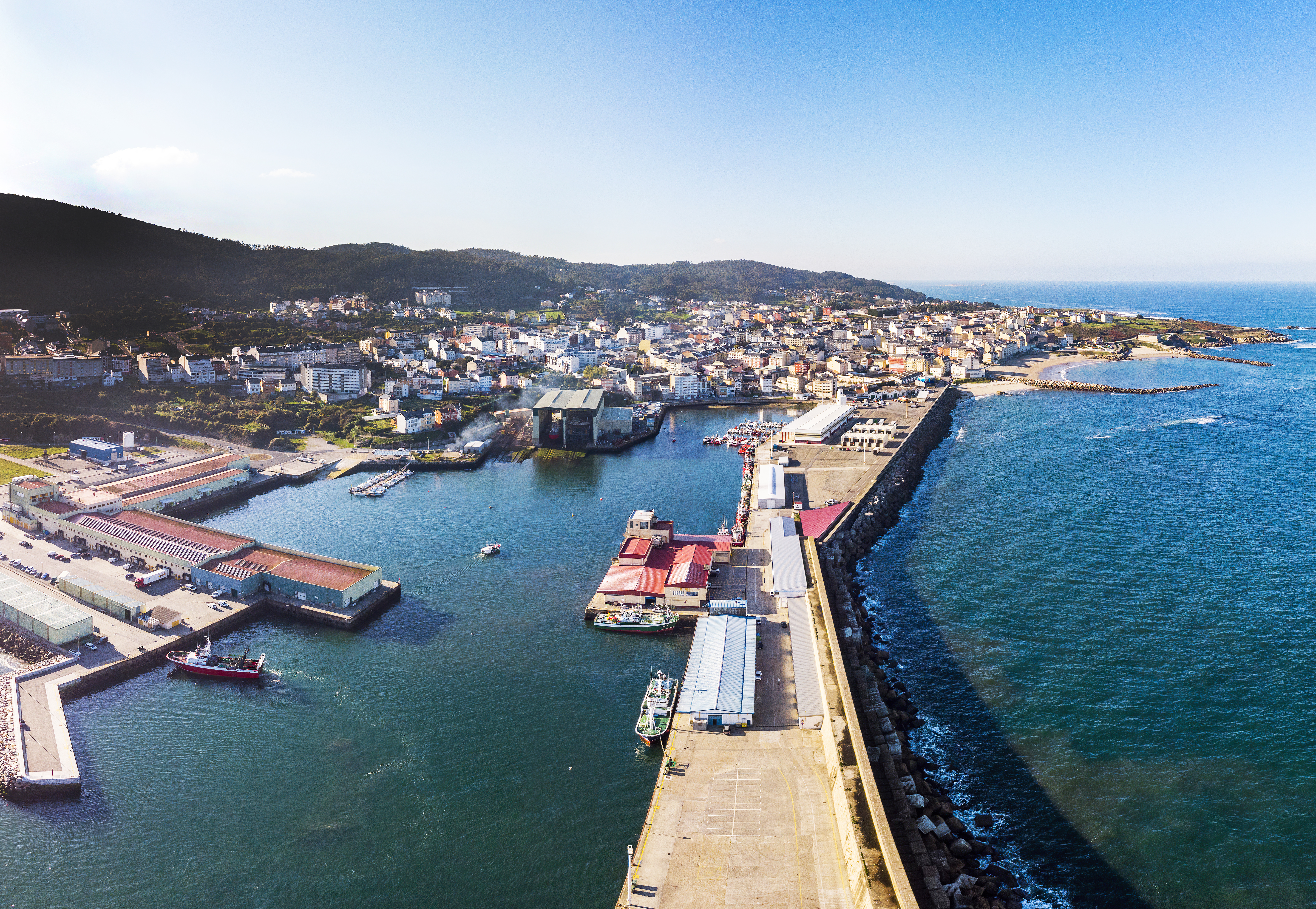 dino - restaurante en Burela - Logo del restaurante