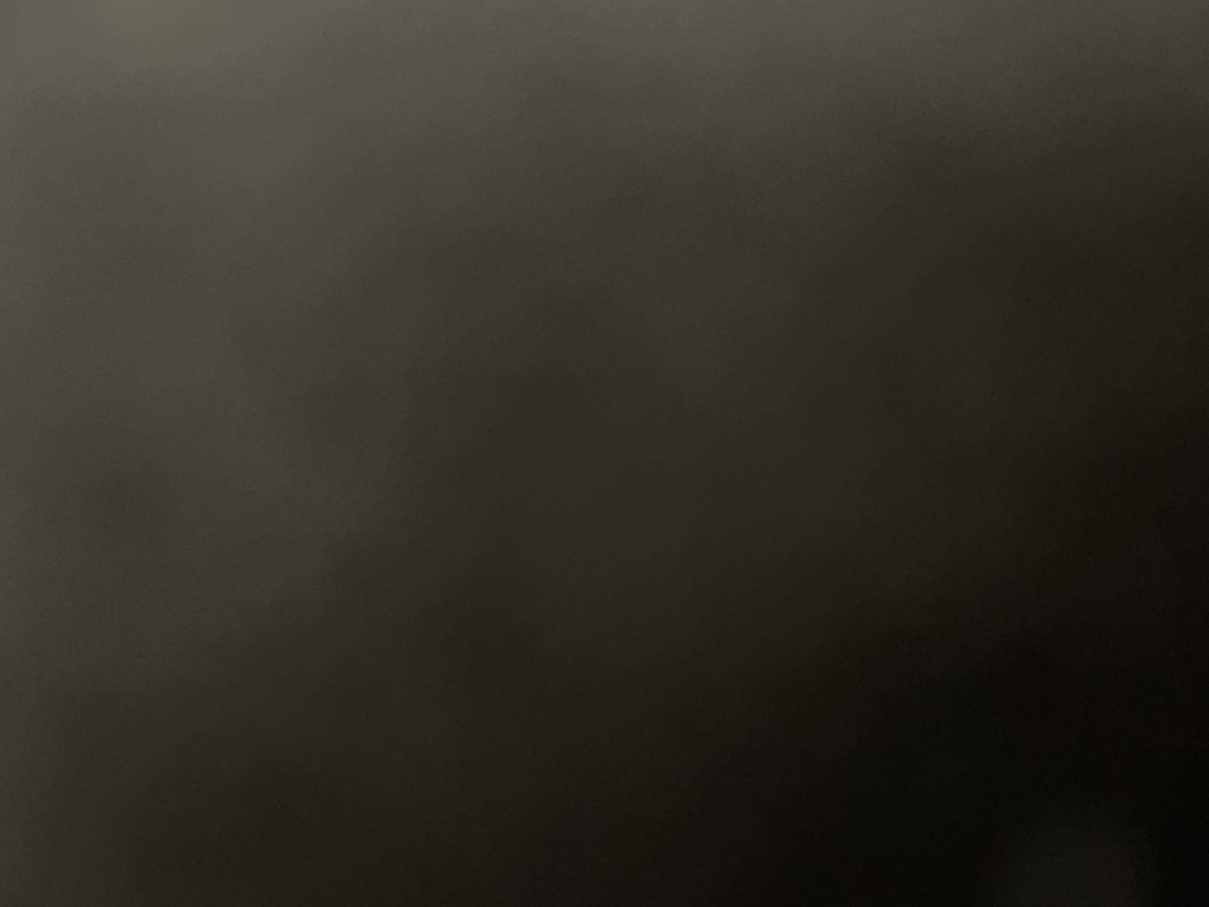 Punkyteam - restaurante en Laredo - Logo del restaurante