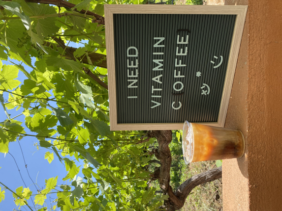 Terraza Deli Café - Imagen 7 - restaurante en Ensenada, Baja California