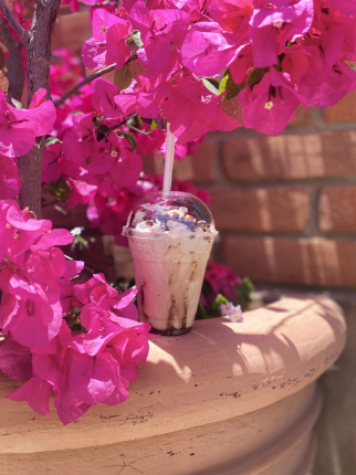 Terraza Deli Café - Imagen 1 - restaurante en Ensenada, Baja California