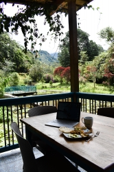Lulo's - Charco Corazon - Imagen 7 - restaurante en Jardin, Antioquia, Colombia