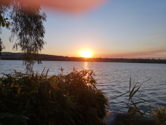 Restaurante - Asador El Sombrero de Tres Picos - Imagen 1 - restaurante en Arcos de la Frontera