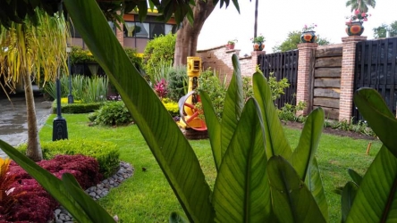 Hotel Mesón del Ánima - Imagen 4 - restaurante en Sayula, Jalisco, México