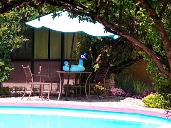 Hotel Mesón del Ánima - Imagen 1 - restaurante en Sayula, Jalisco, México