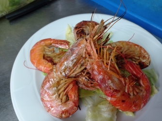 Bar Nuevo ¨Los Antonios¨ - Imagen 4 - restaurante en Zahara de la Sierra