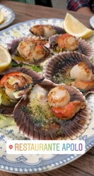 Restaurante Apolo - Imagen 5 - restaurante en Málaga