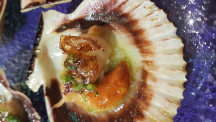 Pulperia con acento gallego - Imagen 3 - restaurante en Jerez de la frontera