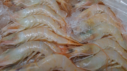 Restaurante Conduma - Imagen 2 - Restaurante en Madrid