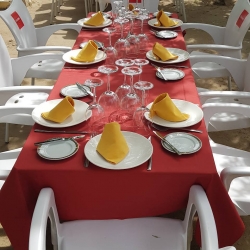 Restaurante Terraza      EL MOLINO - Imagen 2 - restaurante en San Roman de los Montes