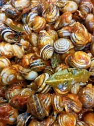 BAR PASCUAL  - Imagen 5 - restaurante en ALCORCON.  -MADRID-