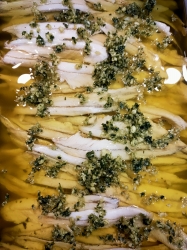 BAR PASCUAL  - Imagen 3 - restaurante en ALCORCON.  -MADRID-