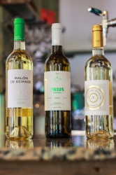 La Pebrera - Imagen 2 - restaurante en Castellón