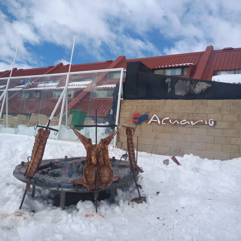 Hotel Acuario - Imagen 3 - restaurante en Malargüe
