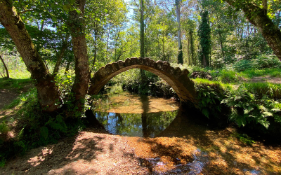 Café Bar Palmeras - Imagen 1 - restaurante en Porto do son
