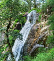 Café Bar Palmeras - Imagen 2 - restaurante en Porto do son
