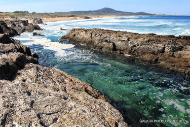 Café Bar Palmeras - Imagen 5 - restaurante en Porto do son