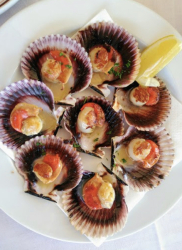 Leo´s Bar  - Imagen 7 - restaurante en Fisterra