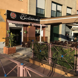 Botanic Café - Imagen 4 - restaurante en Sevilla