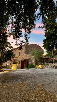 Agroturismo Son Alzines - Imagen 5 - bed_breakfast en Escorca