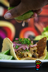 Restaurante La Peligrosa - Imagen 4 - restaurante en Palermo, Bogotá,Colombia