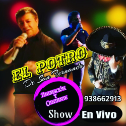D´SALVATORE  PUB-RESTO-BAR - Imagen 1 - restaurante en San Antonio