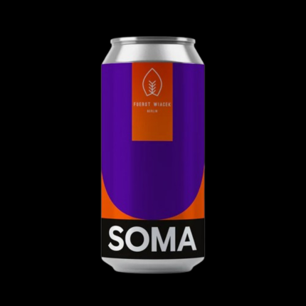 SOMA ft. Fuerst Wiacek DUO - bar en Haedo Craft Beer - Barcelona (08030)