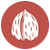 cáscara